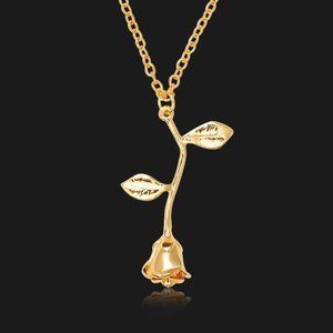 🔥 14K Gold Plated Beautiful Flower Necklace for Women, EVGG1087